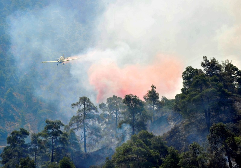 © Reuters. A firefighting plane drops water onto a forest fire at the foothills of Troodos mountain region in Cyprus