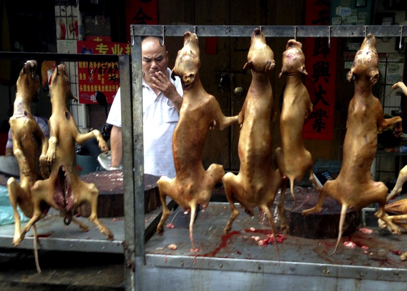 © Reuters. A vendor smokes behind a display of dog meat at a dog meat market on the day of local dog meat festival in Yulin