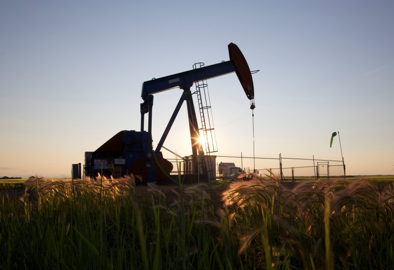 © Reuters. An oil pump jack pumps oil in a field near Calgary