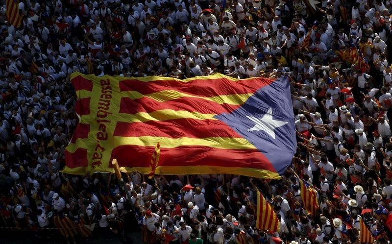 © Reuters. Catalan pro-independence supporters hold a giant Catalan separatist flag during a demonstration called "Via Lliure a la Republica Catalana" on Catalunya's National Day in Barcelona, Spain