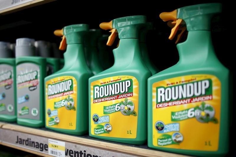 © Reuters. L'UE VA PROLONGER DE 18 MOIS L'AUTORISATION DU GLYPHOSATE