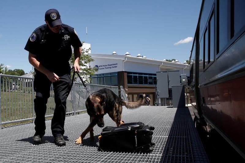© Reuters. شرطة نيويورك تنشر كلابا لرصد آثار المتفجرات خلال احتفال 4 يوليو