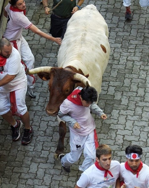 © Reuters. انطلاق مهرجان سان فيرمين للثيران في إسبانيا دون نطح