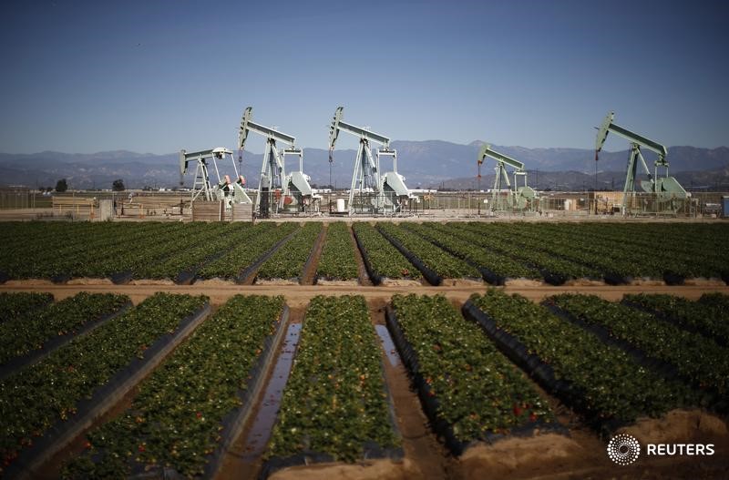 © Reuters. Станки-качалки в Калифорнии