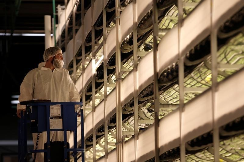 © Reuters. A worker inspects vertical farming beds at an AeroFarms Inc. vertical indoor farming facility in Newark