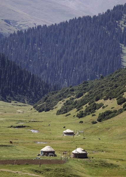© Reuters. Farmers yurts are seen on the mountainous Assy plateau