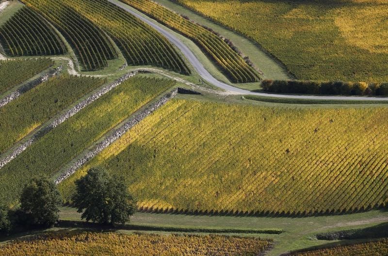 © Reuters. DES VITICULTEURS BORDELAIS S'OPPOSENT AU PROJET LGV