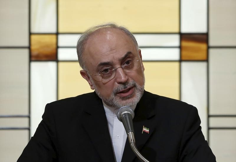 © Reuters. مقابلة-مدير مشروع للاندماج النووي يقول إن إيران تدرس المشاركة