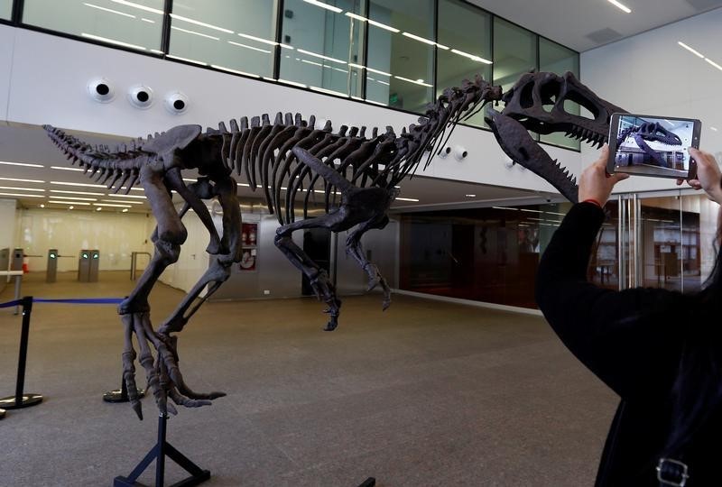 © Reuters. Temible dinosaurio argentino tenía brazos ridículamente pequeños