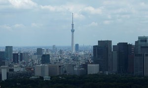 © Reuters. Tokyo Sky Tree, standing at 634 metres, and high rise buildings are pictured in Tokyo