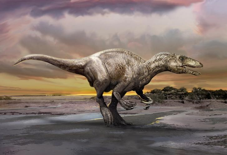 © Reuters. حفريات أرجنتينية تسلط الضوء على مجموعة شرسة من الديناصورات