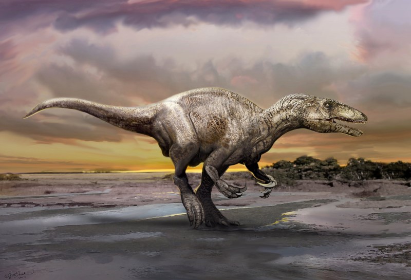© Reuters. Fósiles argentinos arrojan luces sobre temible grupo de dinosaurios