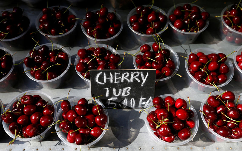 © Reuters. Cherry packs are sold at A$ 5 ($4.45),  at a fruit store in central Sydney