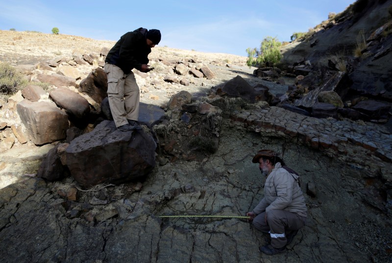 © Reuters. El paleontólogo Sebastián Apesteguía (derecha) mide una huella de más de un metro hecha por un depredador carnívoro hace unos 80 millones de años, una de las más grandes de su tipo que se haya encontrado