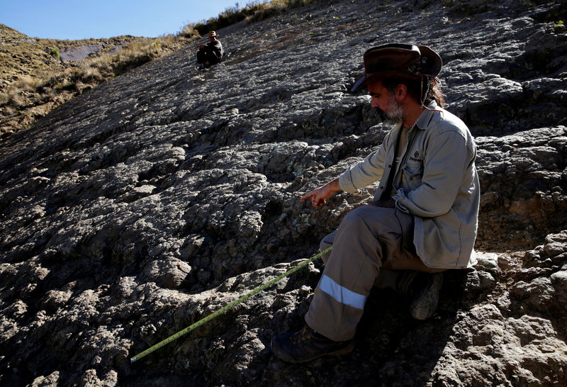 © Reuters. Paleontologist Sebastian Apesteguia points to a dinosaur's footprint in Chulku Mayu