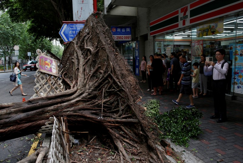 © Reuters. Árvore caída em rua após passagem do tufão Nida por Hong Kong