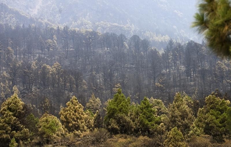 © Reuters. Un incendio provocado en Canarias causa un muerto y 700 evacuados