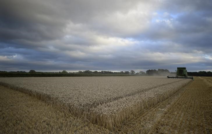© Reuters. الطلب على الأرض الزراعية في بريطانيا يهبط بشدة في النصف الأول من 2016