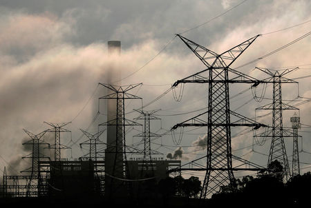 © Reuters. Power lines run from Liddell Power Station near Muswellbrook, 170 km (106 miles) north of Sydney