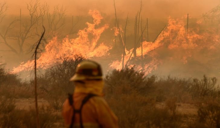 © Reuters. حريق غابات في جنوب كاليفورنيا يستعر بعد إجلاء السكان