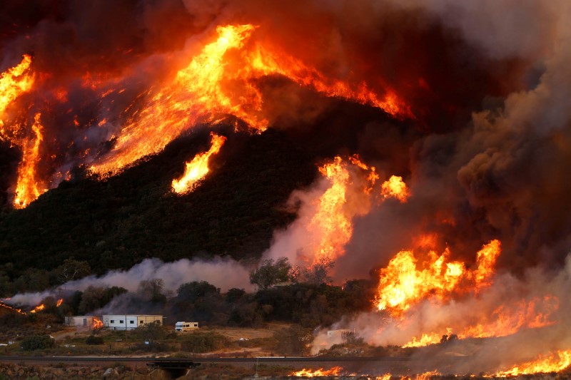 © Reuters. حرائق الغابات تدمر نحو 20 مبنى في شرق ولاية واشنطن