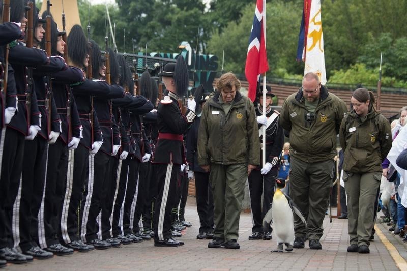 © Reuters. ترقية بطريق إلى رتبة بريجادير في حديقة حيوانات إدنبره