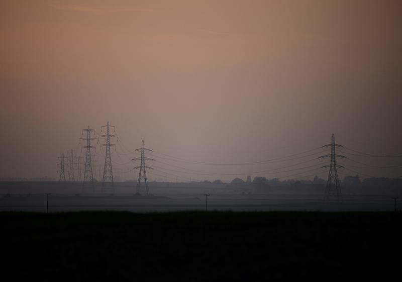 © Reuters. Electricity pylons are silhouetted by the sunset of a clear autumn evening in the Kent countryside  in Graveney, Britain