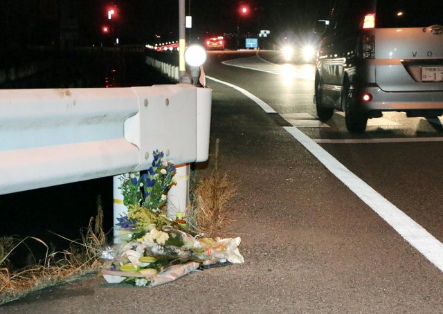 © Reuters. Un camionero japonés que jugaba a Pokemon GO atropella y mata a una mujer