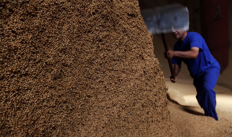 © Reuters. Homem trabalha em montanha de grãos de soja na cidade de Sorriso, no Estado do Mato Grosso