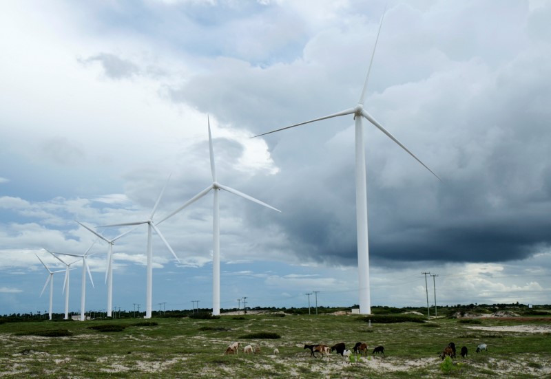 © Reuters. Moinhos de vento em Paracuru, na costa do Estado do Ceará, no Nordeste do Brasil