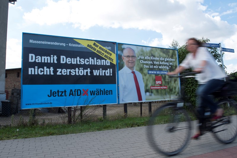 © Reuters. Election posters of the right-wing Alternative for Germany (AfD) and Social Democratic Party (SPD) are seen in Greifswald