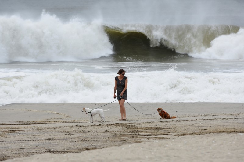 © Reuters. A woman walks her dog at Rockaway Beach in Queens, New York on Labor Day while high waves reached the shore due to post-tropical cyclone Hermine
