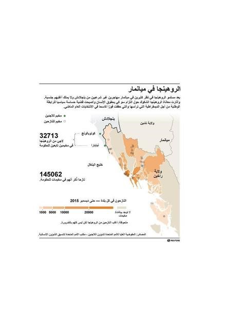 © Reuters. مئات يحتجون في ميانمار على لجنة تتعلق بأزمة الروهينجا