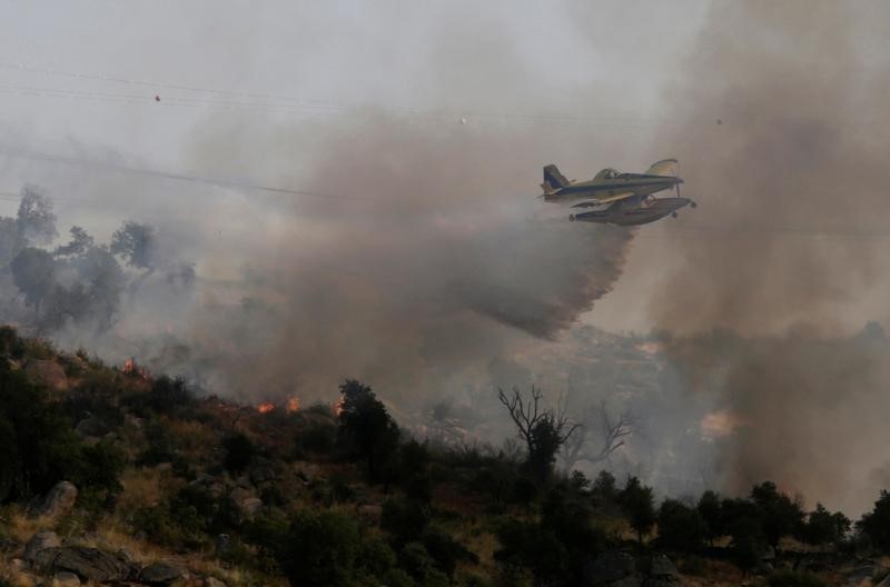 © Reuters. Avião joga água sobre floresta em chamas em Lagoaca, Portugal