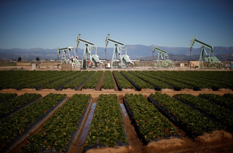 © Reuters. Oil pump jacks are seen next to a strawberry field in Oxnard