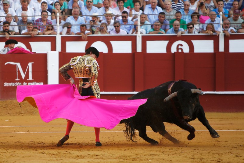 © Reuters. Peruvian bullfighter Roca Rey performs a pass to bull during a bullfight in Malaga