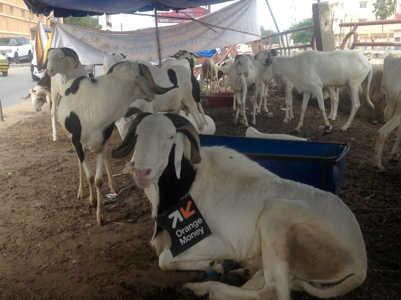 © Reuters. Sheep for sale are seen at a market in Dakar