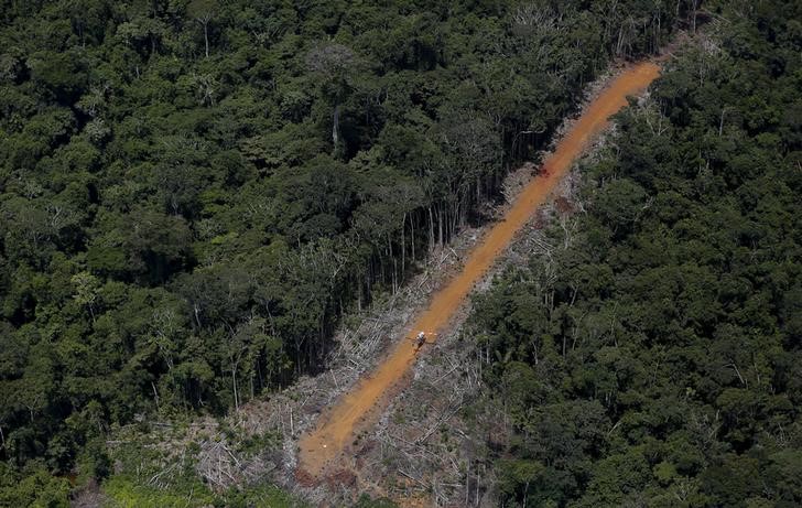 © Reuters. Região da floresta amazônica em Roraima