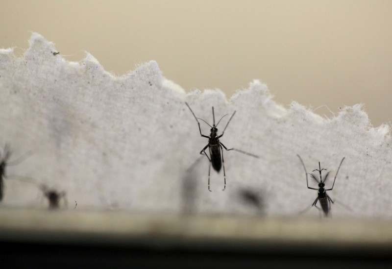 Florida expands Zika zone in Miami Beach after five new cases