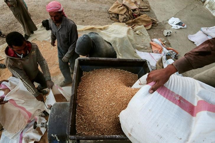 © Reuters. Homens trabalham na limpeza e armazenamento de trigo na cidade síria de Ras al-Ain