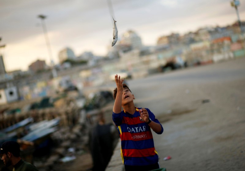 © Reuters. Palestinian boy throws a freshly caught fish as he works with fishermen at the seaport of Gaza City