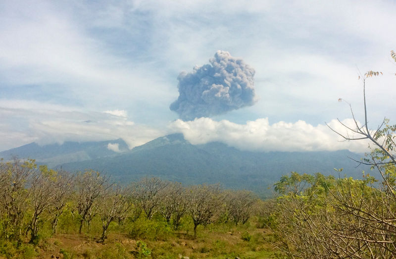 © Reuters. Mount Barujari, located inside Mount Rinjani volcano, is seen erupting from Bayan district, North Lombok, Indonesia