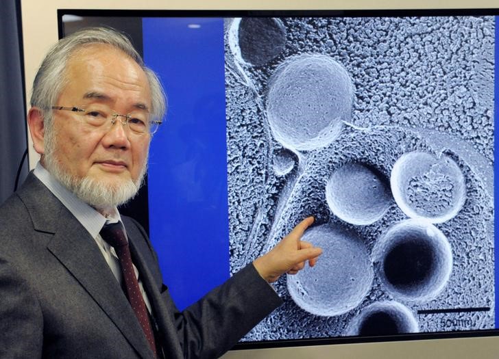 © Reuters. Japonês Yoshinori Ohsumi, vencedor do Nobel de 2016 de medicina e fisiologia