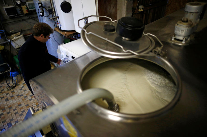 © Reuters. La recuperación del precio de la leche da esperanzas a los ganaderos europeos
