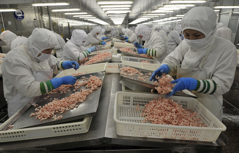 © Reuters. Employees peel shrimps along a production line at a seafood factory in Rizhao