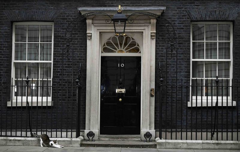 © Reuters. Larry, the resident cat of 10 Downing Street stretches outside the door, in London