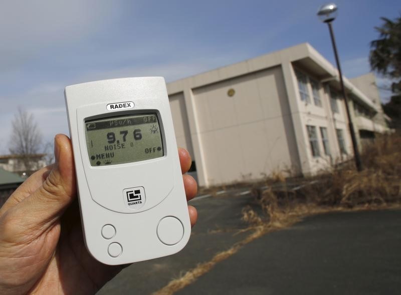 © Reuters. The Wider Image: Fukushima: Searching for loved ones