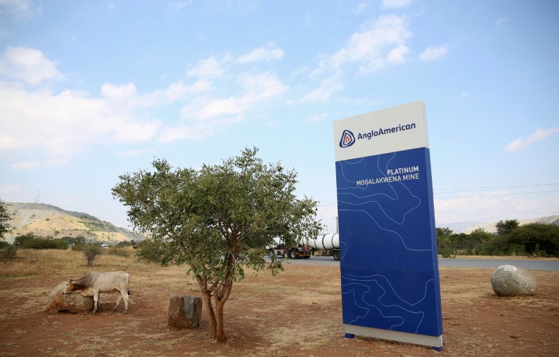 © Reuters. A cow is seen near the AngloAmerican sign board outside the Mogalakwena platinum mine in Mokopane