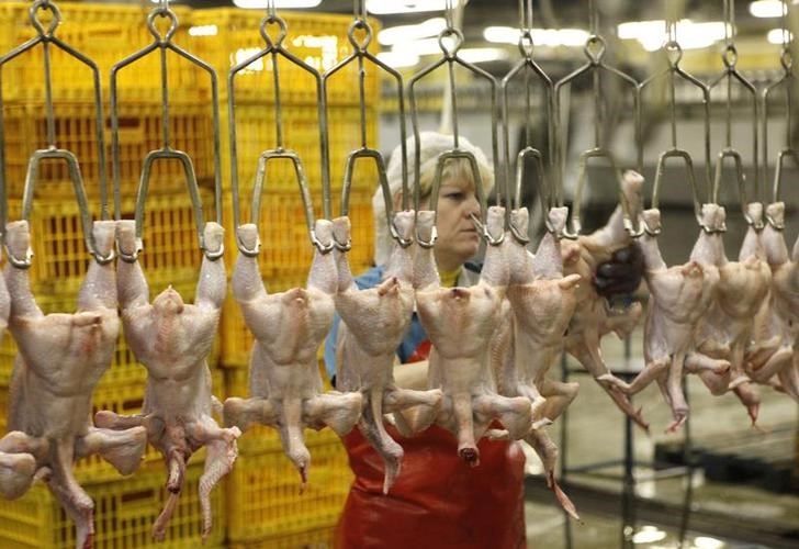 © Reuters. A civil employee works at a poultry factory near the town of Sosnovoborsk