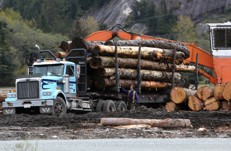 © Reuters. A worker checks a truck with a load of logs at Sqomish Forestry LP in Squamish,